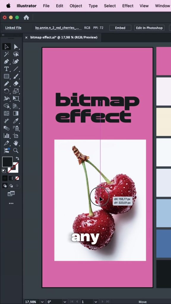 A photo of two red cherries on white placed on a pink artboard in Adobe Illustrator